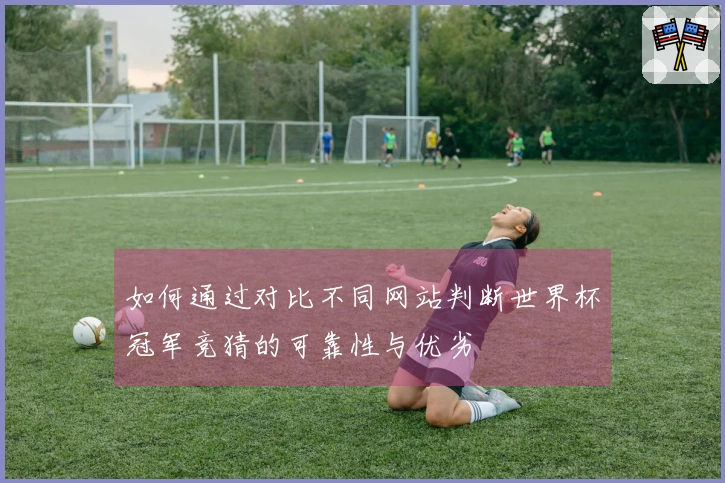 如何通过对比不同网站判断世界杯冠军竞猜的可靠性与优劣
