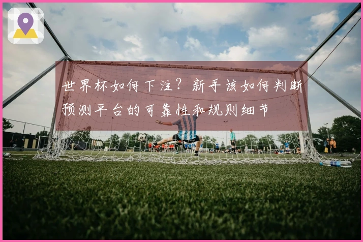 世界杯如何下注？新手该如何判断预测平台的可靠性和规则细节