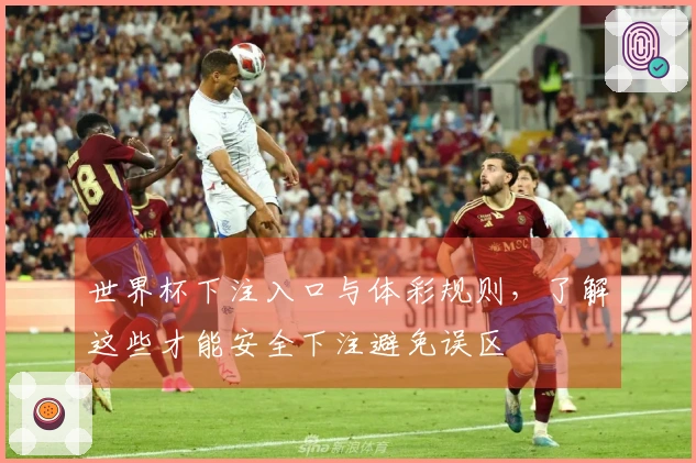 世界杯下注入口与体彩规则，了解这些才能安全下注避免误区