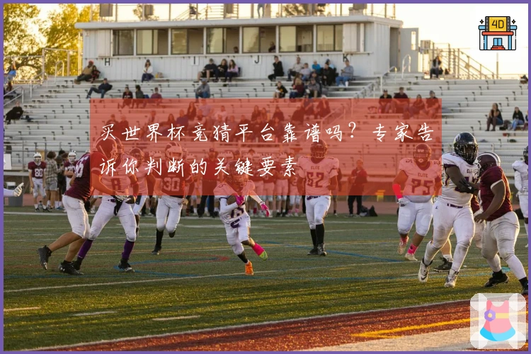 买世界杯竞猜平台靠谱吗？专家告诉你判断的关键要素