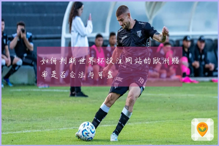 如何判断世界杯投注网站的欧洲赔率是否合法与可靠