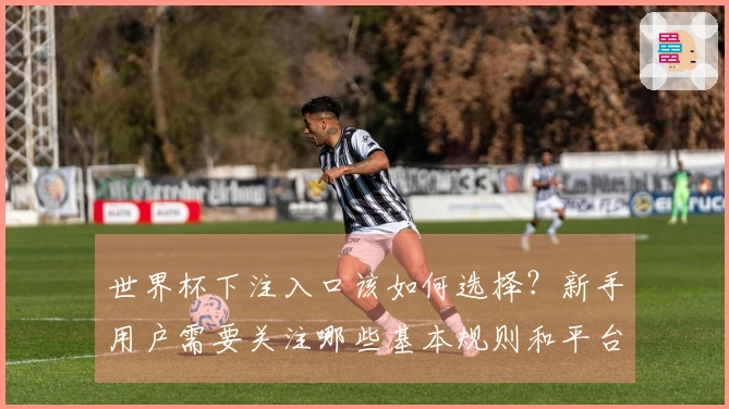 世界杯下注入口该如何选择？新手用户需要关注哪些基本规则和平台判断标准？