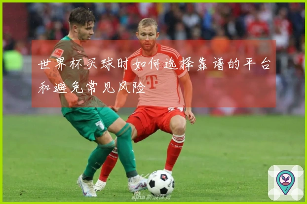 世界杯买球时如何选择靠谱的平台和避免常见风险