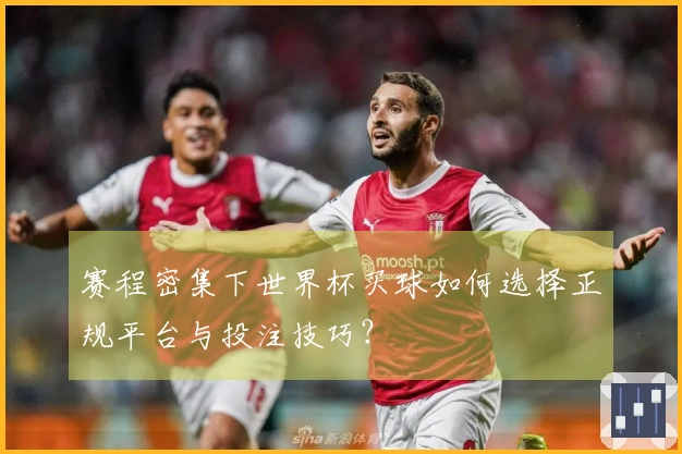 赛程密集下世界杯买球如何选择正规平台与投注技巧？