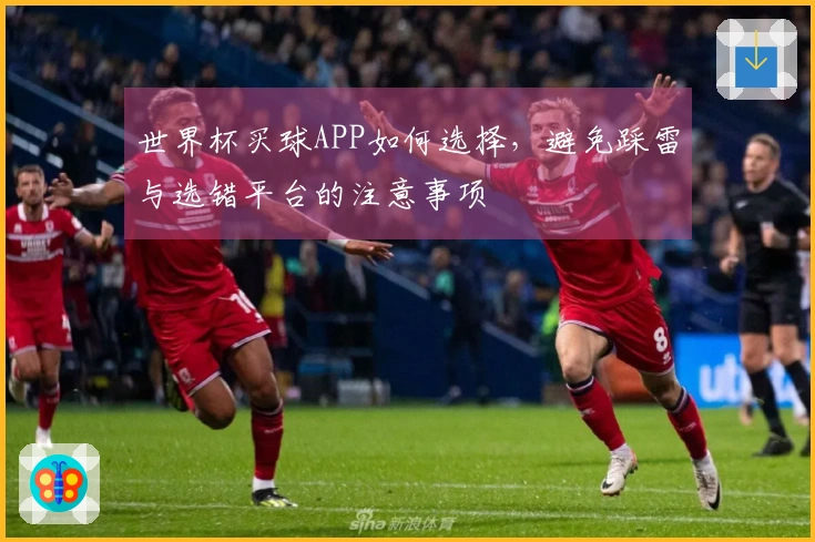世界杯买球APP如何选择，避免踩雷与选错平台的注意事项