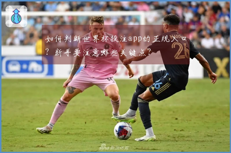 如何判断世界杯投注app的正规入口？新手要注意哪些关键点？
