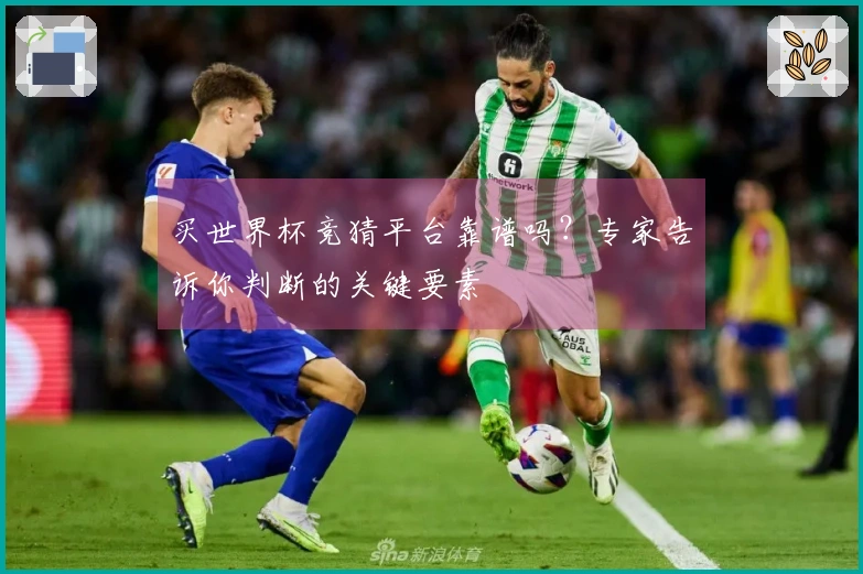 买世界杯竞猜平台靠谱吗？专家告诉你判断的关键要素