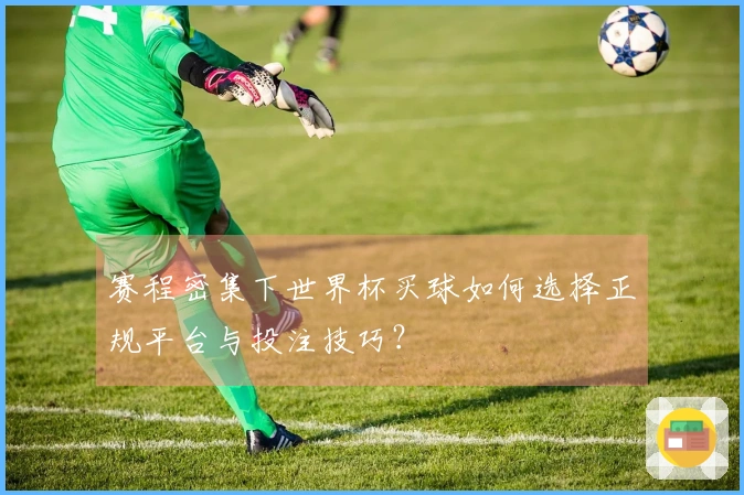 赛程密集下世界杯买球如何选择正规平台与投注技巧？