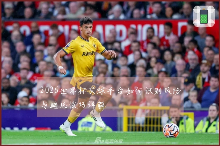2026世界杯买球平台如何识别风险与避坑技巧详解
