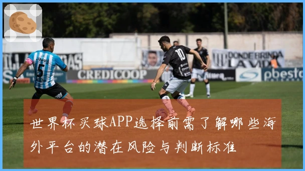 世界杯买球APP选择前需了解哪些海外平台的潜在风险与判断标准