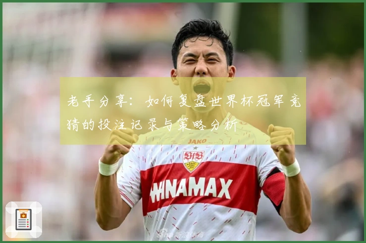 老手分享：如何复盘世界杯冠军竞猜的投注记录与策略分析