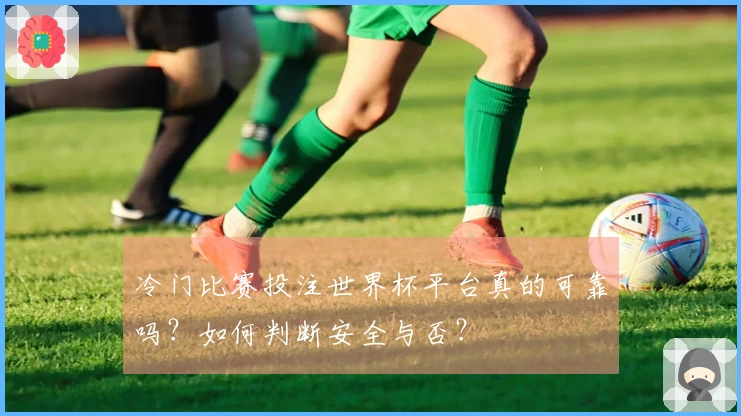 冷门比赛投注世界杯平台真的可靠吗？如何判断安全与否？