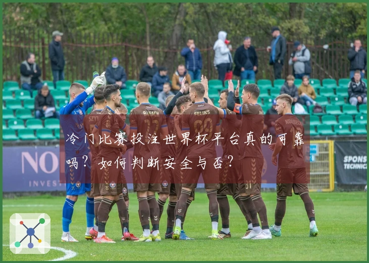 冷门比赛投注世界杯平台真的可靠吗？如何判断安全与否？