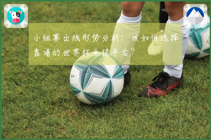 小组赛出线形势分析：该如何选择靠谱的世界杯竞猜平台？