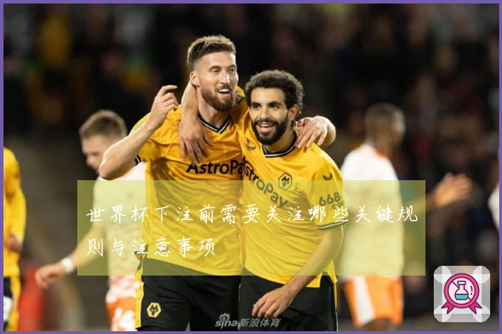 世界杯下注前需要关注哪些关键规则与注意事项