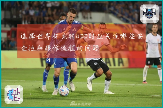选择世界杯竞猜app时应关注哪些安全性和操作流程的问题