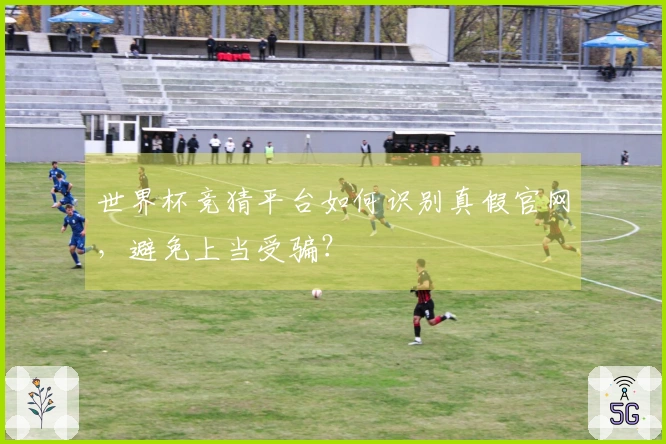 世界杯竞猜平台如何识别真假官网，避免上当受骗？
