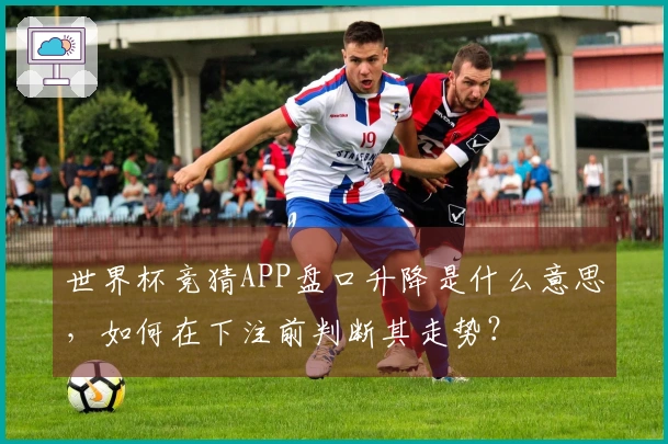 世界杯竞猜APP盘口升降是什么意思，如何在下注前判断其走势？