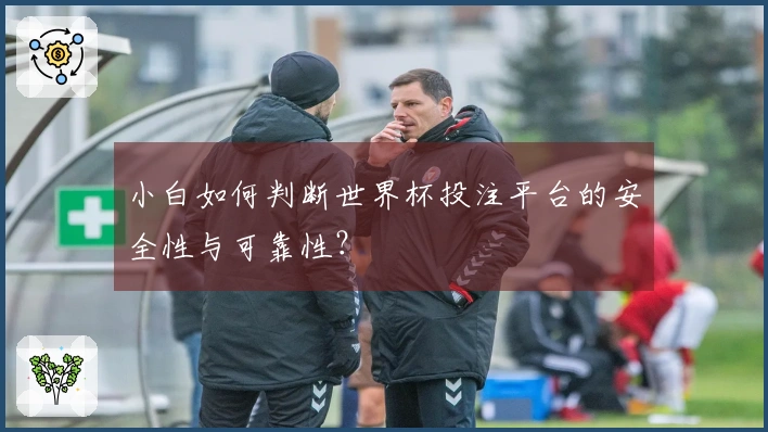 小白如何判断世界杯投注平台的安全性与可靠性？