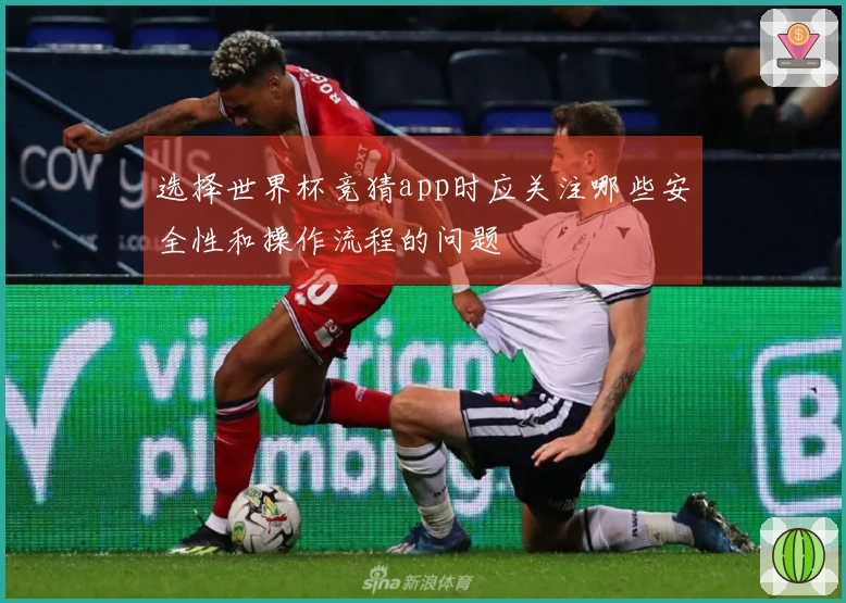 选择世界杯竞猜app时应关注哪些安全性和操作流程的问题