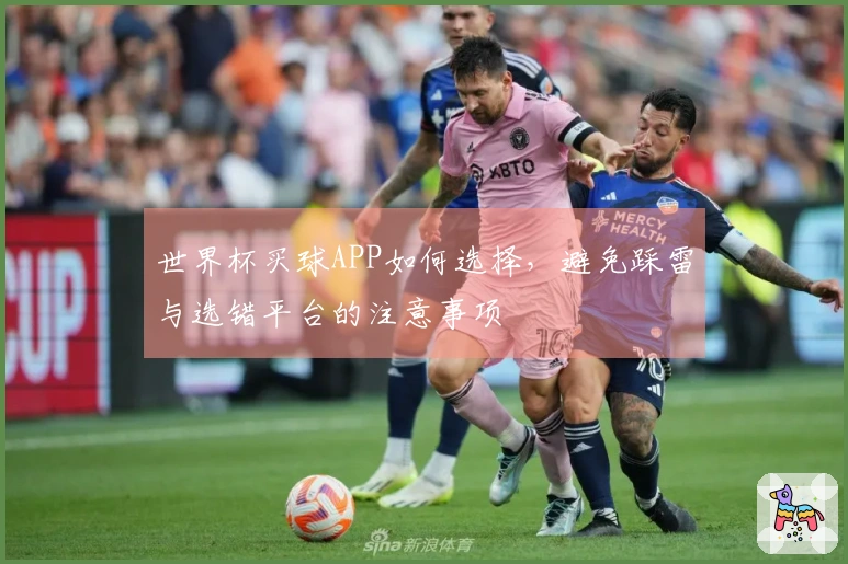 世界杯买球APP如何选择，避免踩雷与选错平台的注意事项