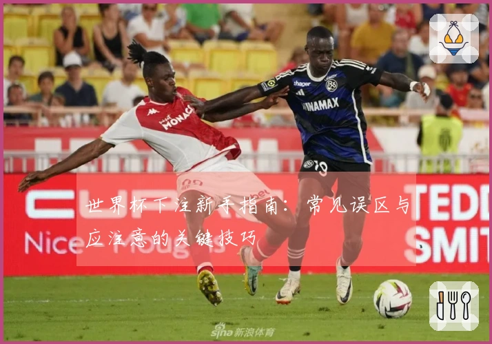 世界杯下注新手指南：常见误区与应注意的关键技巧