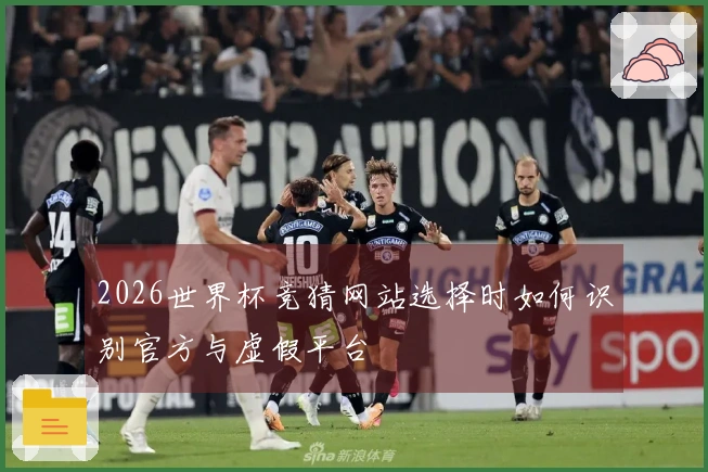 2026世界杯竞猜网站选择时如何识别官方与虚假平台