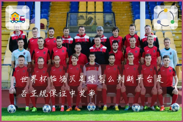 世界杯临场买足球怎么判断平台是否正规保证中奖率