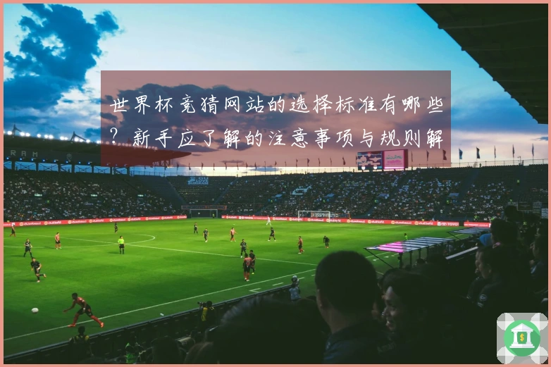 世界杯竞猜网站的选择标准有哪些？新手应了解的注意事项与规则解析