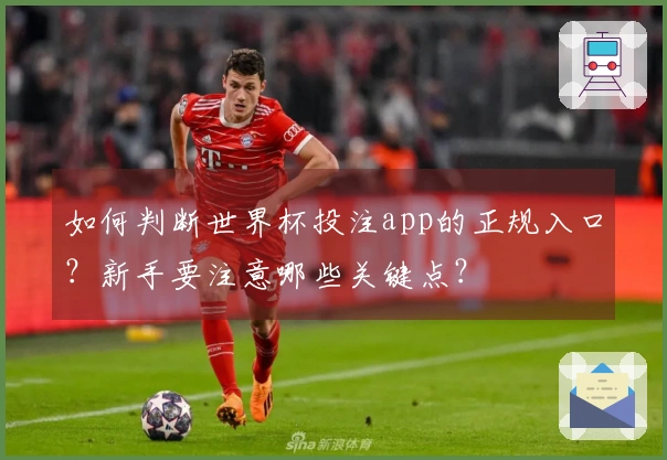 如何判断世界杯投注app的正规入口？新手要注意哪些关键点？