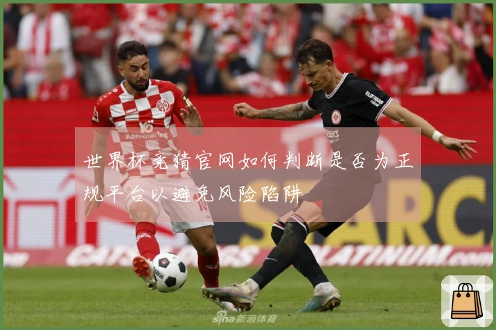世界杯竞猜官网如何判断是否为正规平台以避免风险陷阱