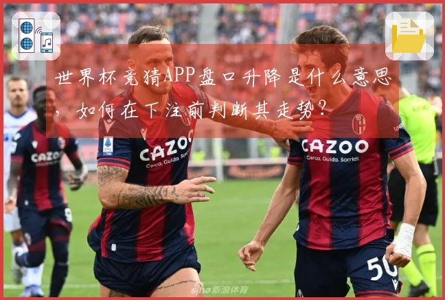 世界杯竞猜APP盘口升降是什么意思，如何在下注前判断其走势？