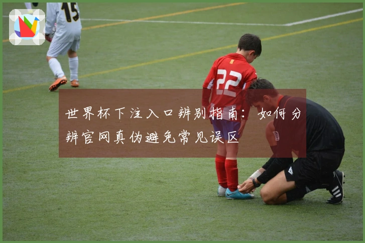 世界杯下注入口辨别指南：如何分辨官网真伪避免常见误区