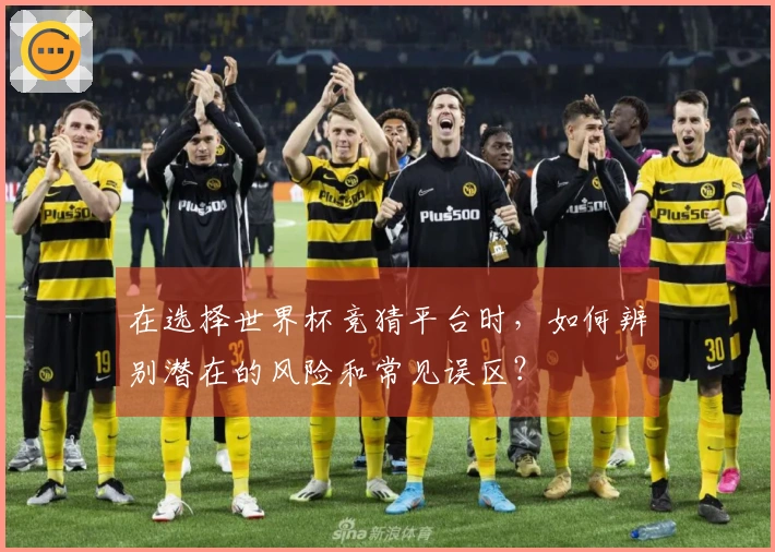 在选择世界杯竞猜平台时，如何辨别潜在的风险和常见误区？