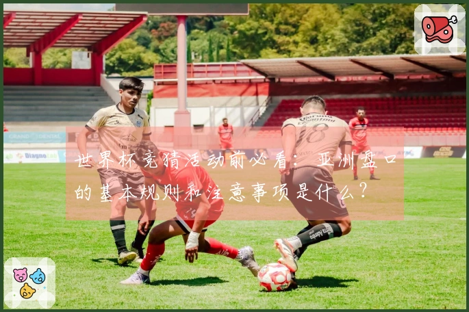 世界杯竞猜活动前必看：亚洲盘口的基本规则和注意事项是什么？