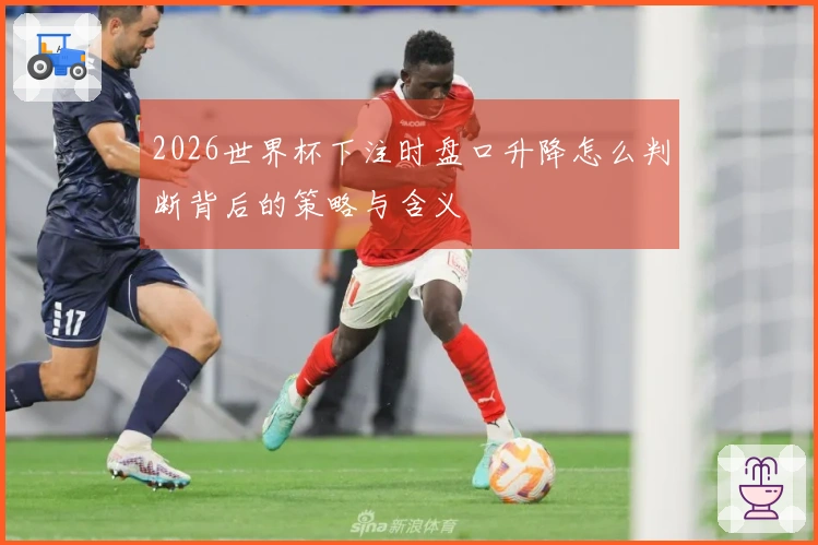 2026世界杯下注时盘口升降怎么判断背后的策略与含义